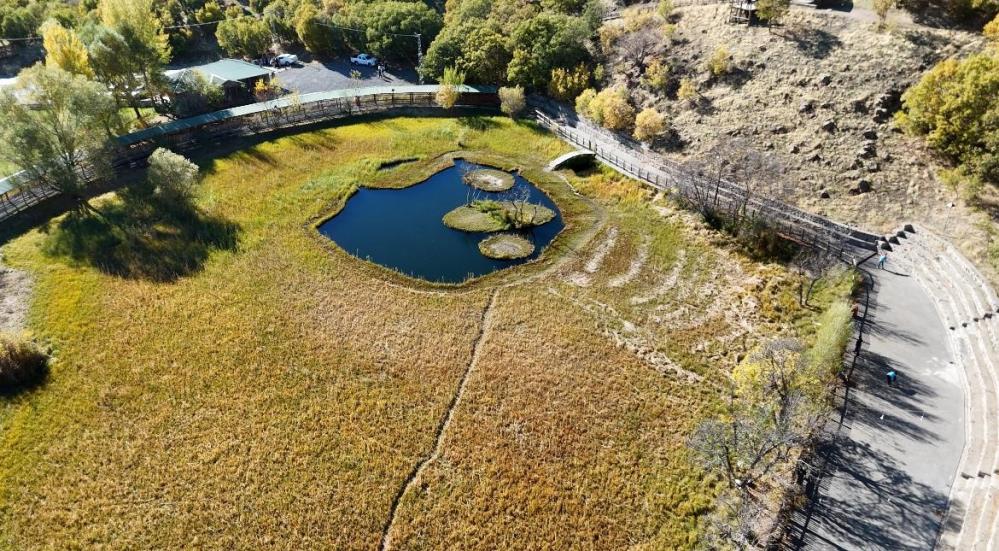 Yüzen Adalar'da sonbahar güzelliği