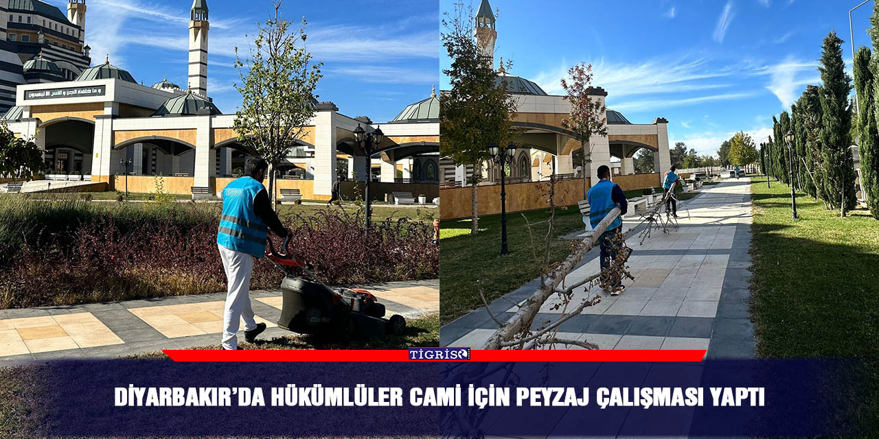 Diyarbakır’da hükümlüler cami için peyzaj çalışması yaptı