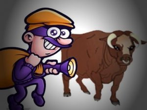 Hakkari’de ‘Hayvan Hırsızlığı Projesi’