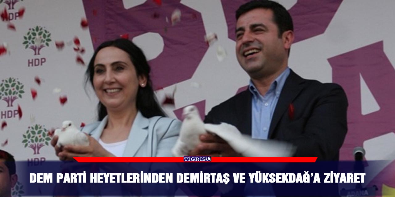 DEM Parti heyetlerinden Demirtaş ve Yüksekdağ’a ziyaret