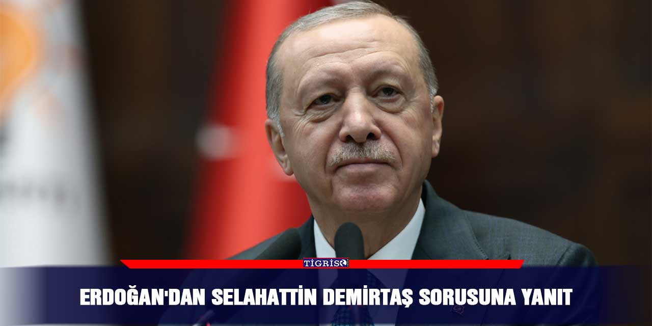 Erdoğan'dan Selahattin Demirtaş sorusuna yanıt
