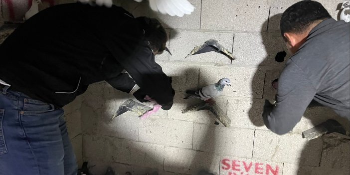 Kuş kümesinden uyuşturucu çıktı