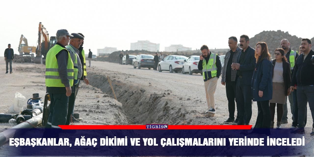 Eşbaşkanlar, ağaç dikimi ve yol çalışmalarını yerinde inceledi