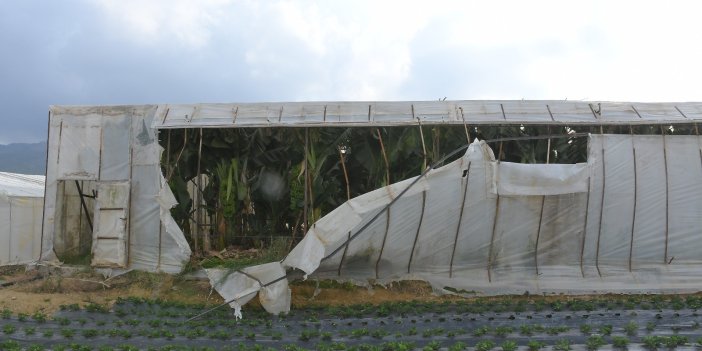 Fırtına ve hortum seralara zarar verdi