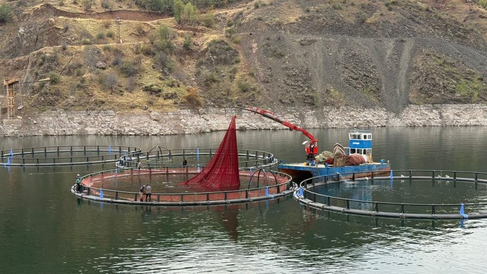 Diyarbakır’da üretilen "Mezopotamya Somonu" dünya yolcusu