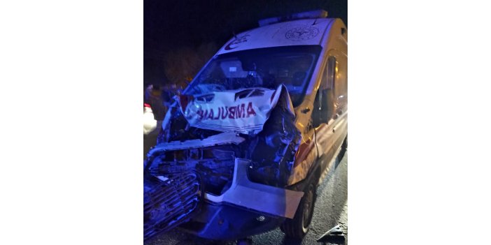 Ambulans mandaya çarptı