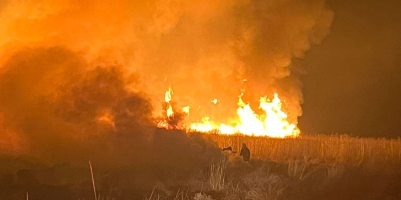 Hakkari'de kuş cennetinde yangın
