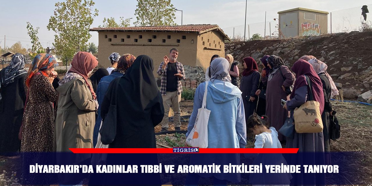 Diyarbakır’da kadınlar tıbbi ve aromatik bitkileri yerinde tanıyor