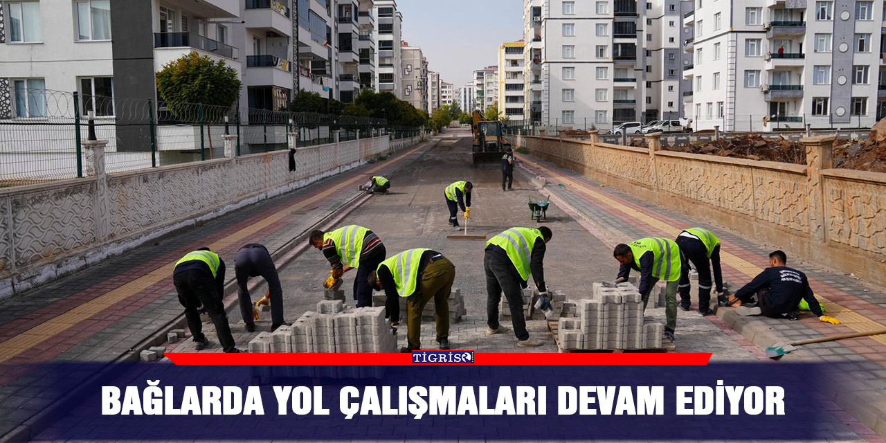 Bağlarda yol çalışmaları devam ediyor