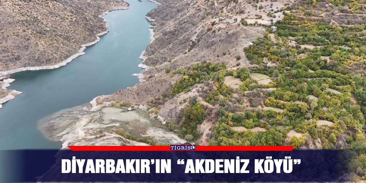 Diyarbakır’ın “Akdeniz köyü”