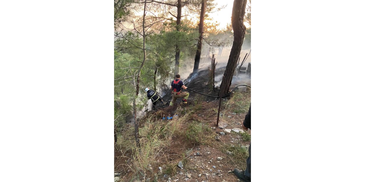 Hatay'da ormanı yangını