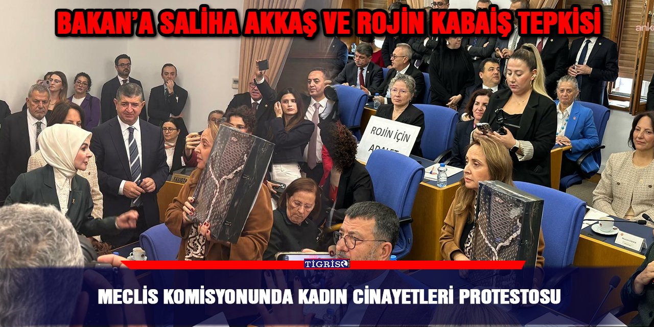 Meclis Komisyonunda kadın cinayetleri protestosu