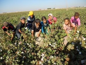 2014 yılında en az 39 çocuk işçi yaşamını yitirdi
