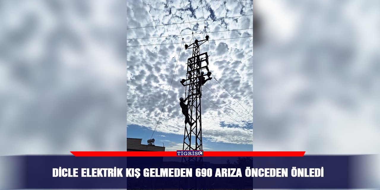 Dicle Elektrik, kış gelmeden 690 arıza önceden önledi
