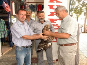 Yine özgürlüğe uçacak