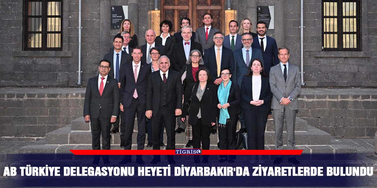 AB Türkiye Delegasyonu heyeti Diyarbakır'da ziyaretlerde bulundu
