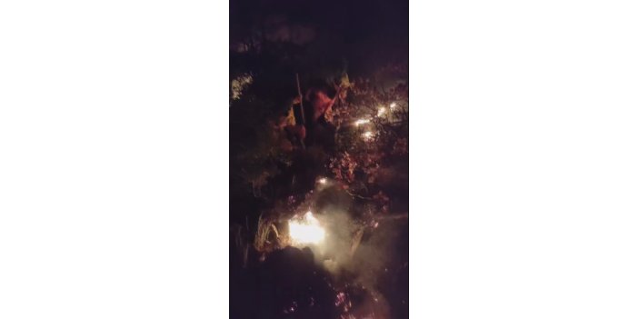 Yıldırım düştü, ormanlık alan alev aldı