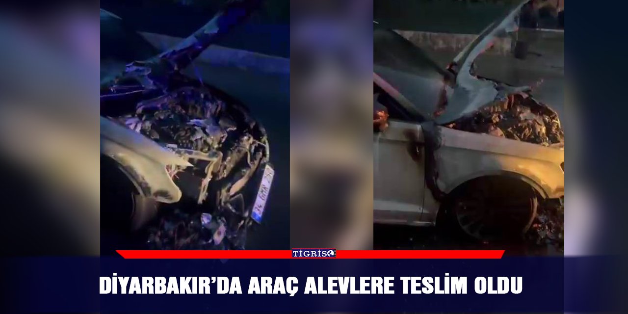 Diyarbakır’da araç alevlere teslim oldu