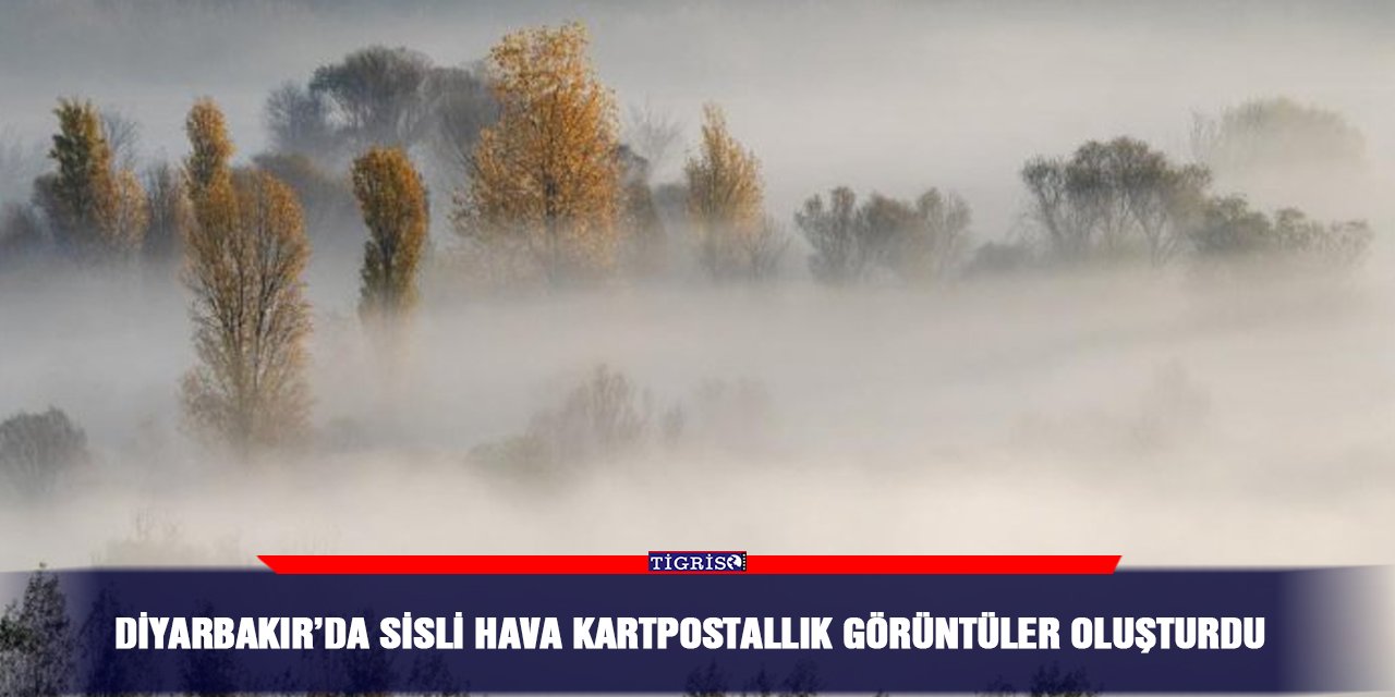 Diyarbakır’da sisli hava kartpostallık görüntüler oluşturdu