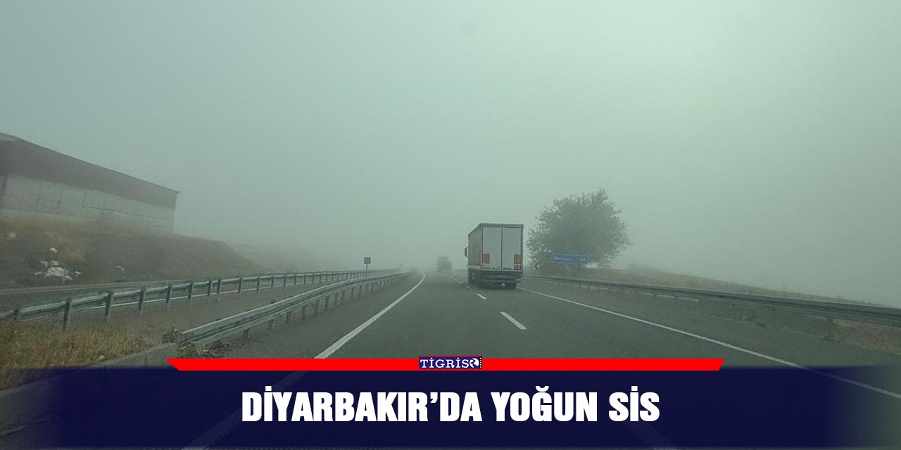 Diyarbakır’da yoğun sis