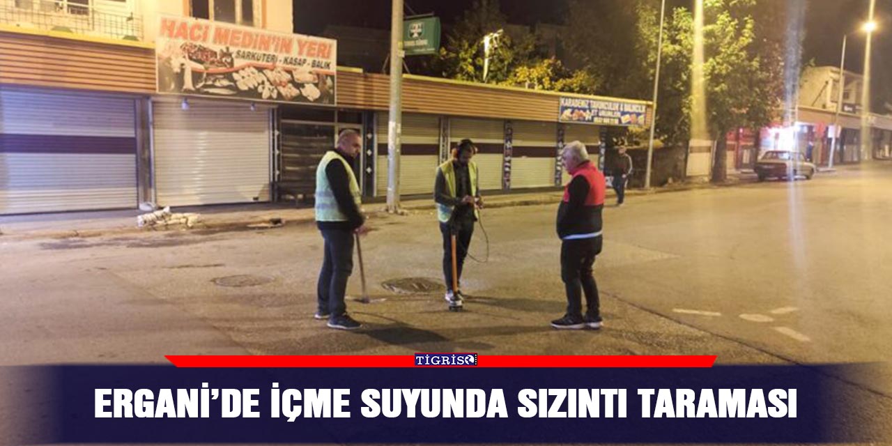 Ergani’de içme suyunda sızıntı taraması
