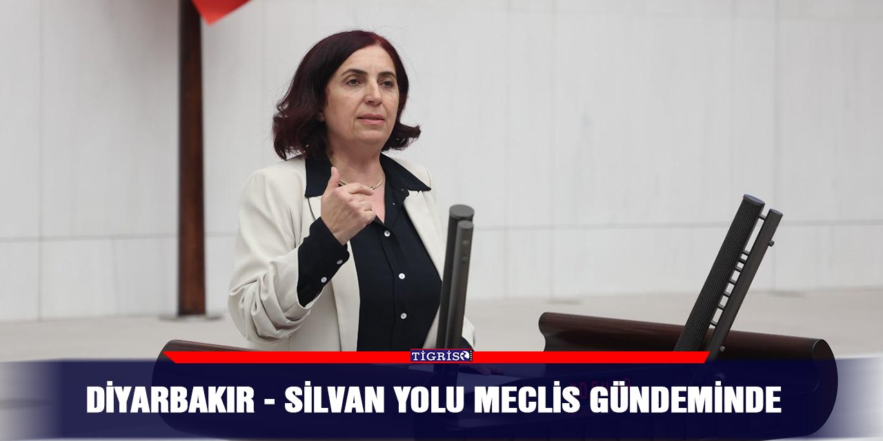 Diyarbakır - Silvan yolu Meclis gündeminde