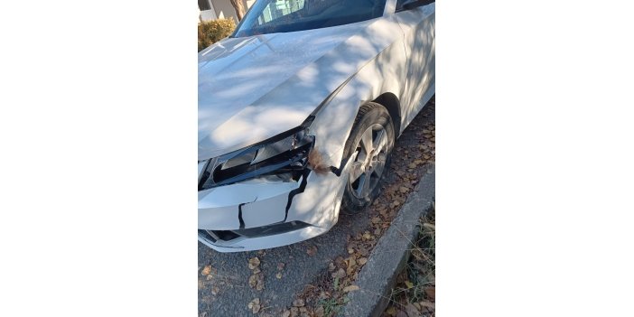 Otomobil ayıya çarptı