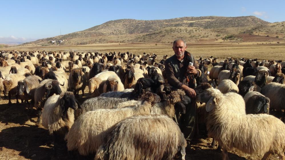 Göçerlerin zorlu yolculuğu başladı