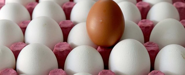 Ne sarı ne beyaz: En sağlıklı yumurta aslında buymuş!