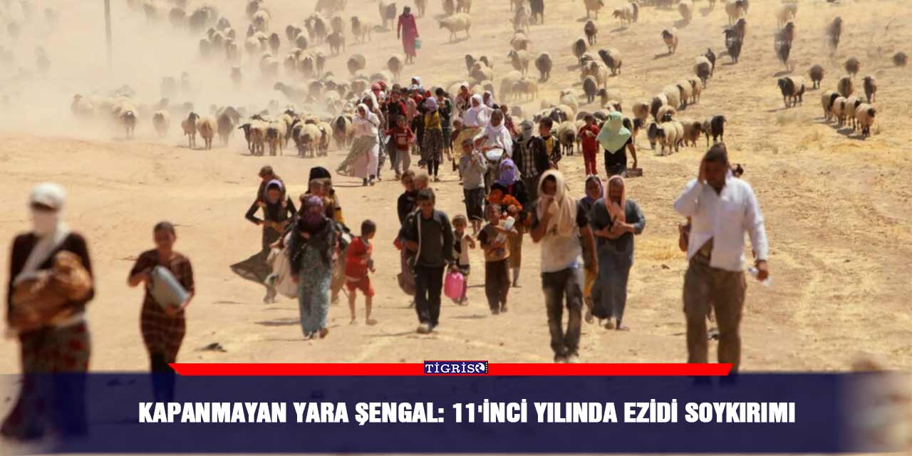 Kapanmayan yara Şengal: 11'inci yılında Ezidi Soykırımı