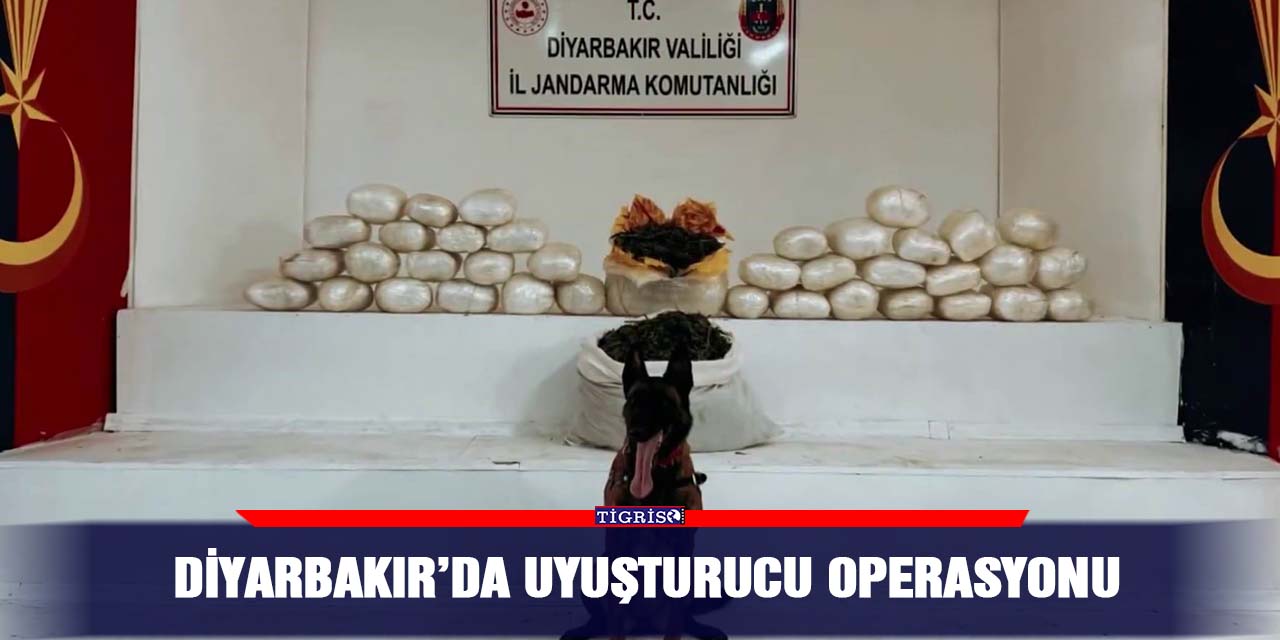 Diyarbakır’da uyuşturucu operasyonu