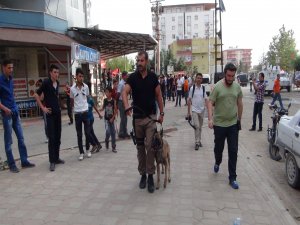 DBP'nin uyuşturucuya karşı mücadele çadırına polis baskını