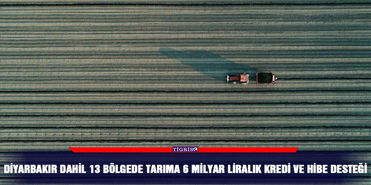 Diyarbakır dahil 13 bölgede tarıma 6 milyar liralık kredi ve hibe desteği