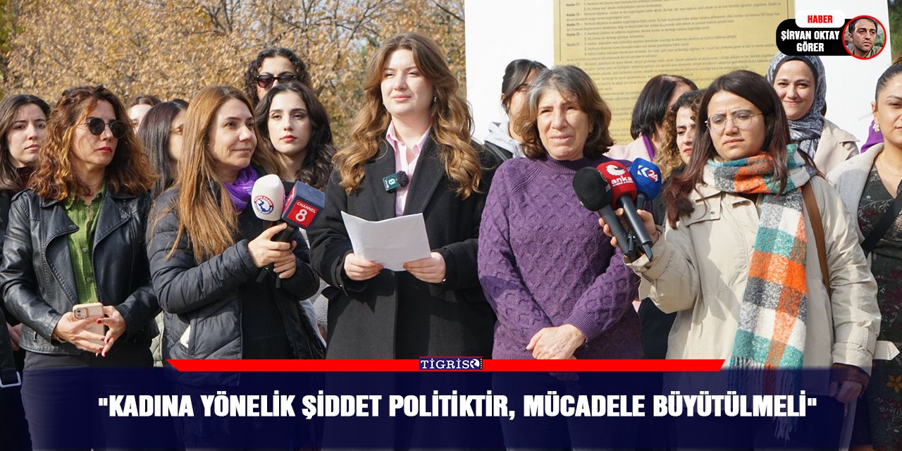 "Kadına yönelik şiddet politiktir, mücadele büyütülmeli"