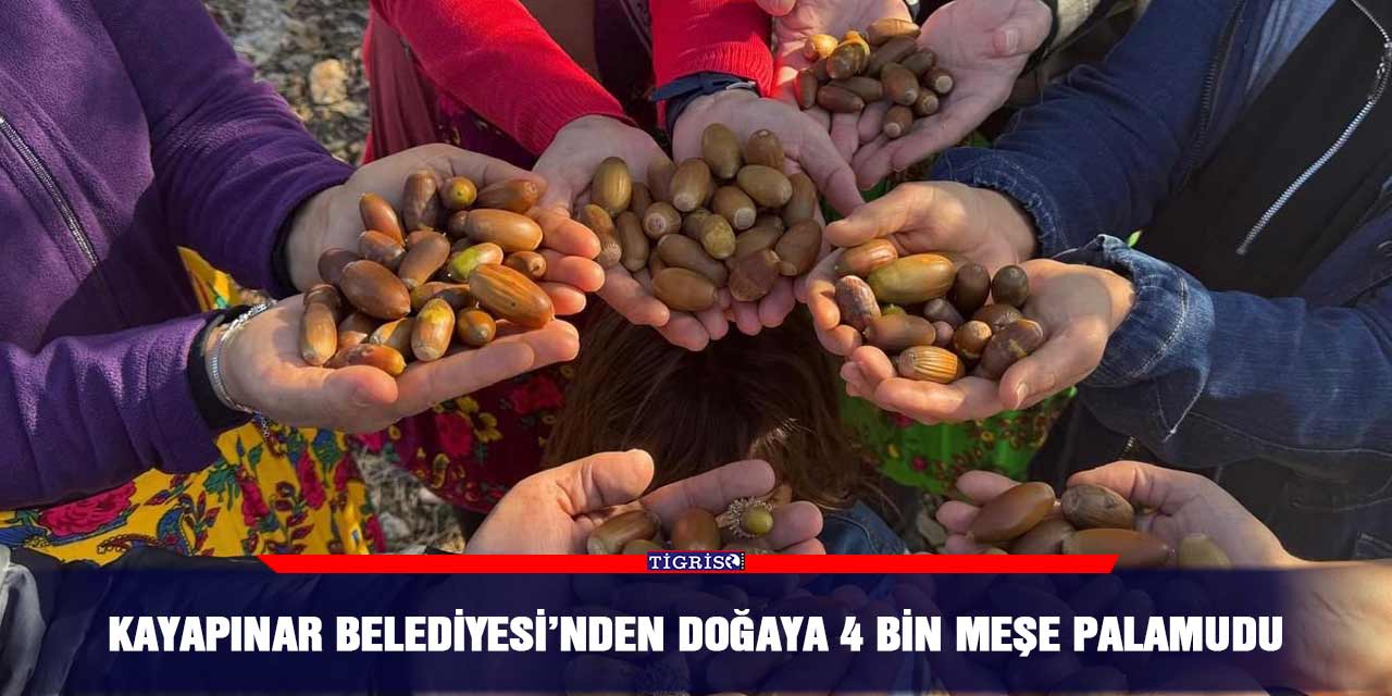 Kayapınar Belediyesi’nden doğaya 4 bin meşe palamudu