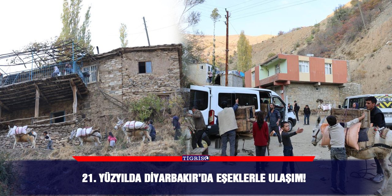 21. Yüzyılda Diyarbakır’da eşeklerle ulaşım!