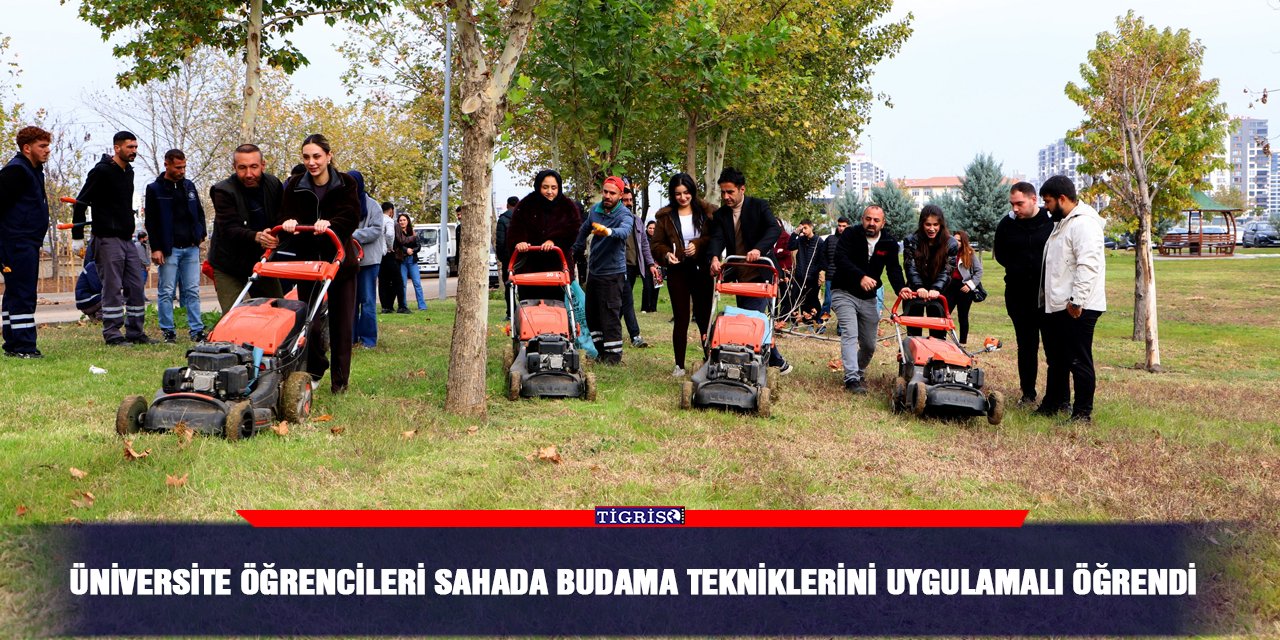 Üniversite öğrencileri sahada budama tekniklerini uygulamalı öğrendi