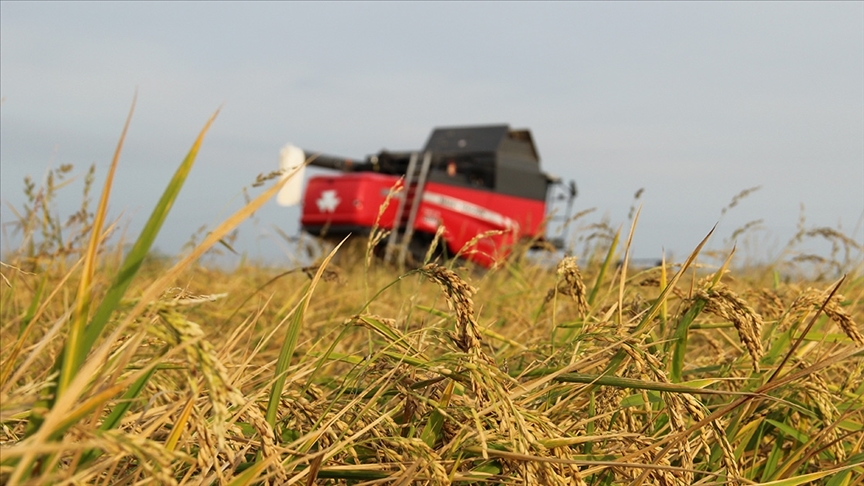 Tarım üreticilerine 4,2 milyar lira hasar tazminatı ödendi