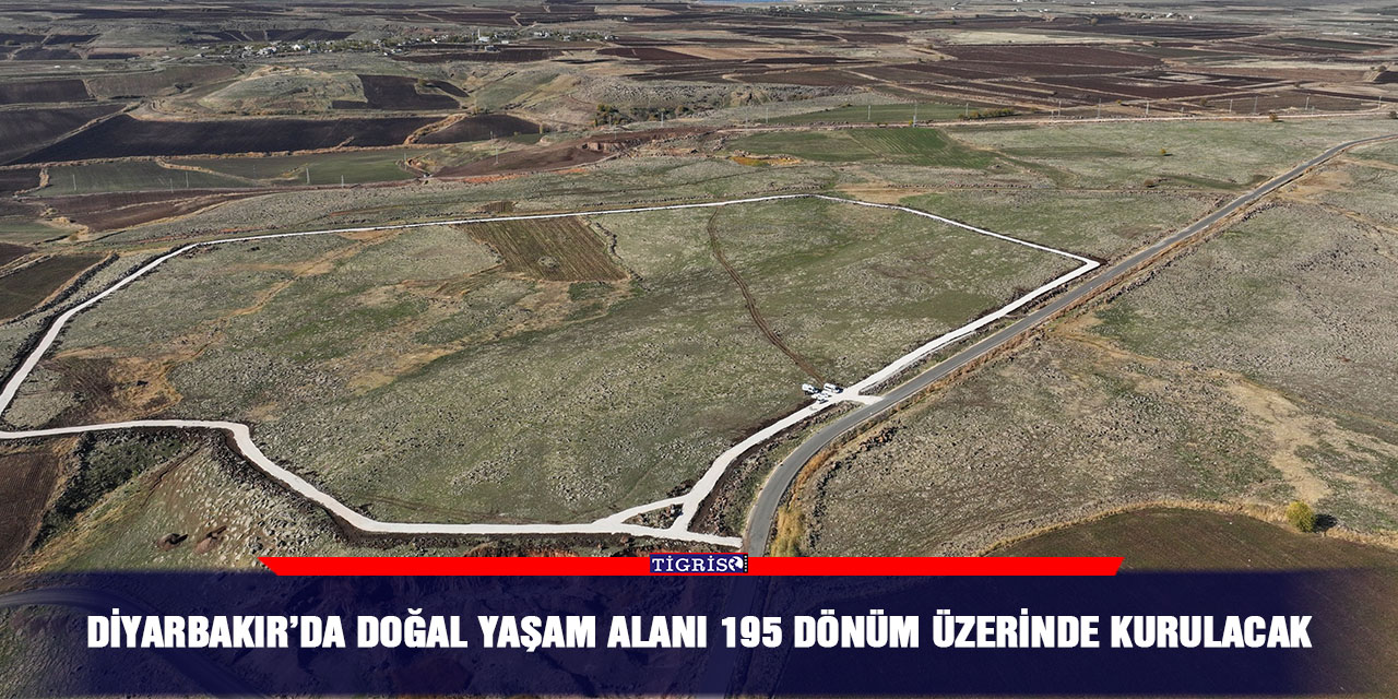 Diyarbakır’da doğal yaşam alanı 195 dönüm üzerinde kurulacak