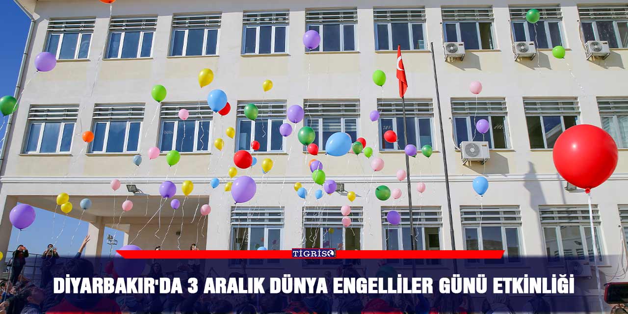 Diyarbakır'da 3 Aralık Dünya Engelliler Günü etkinliği