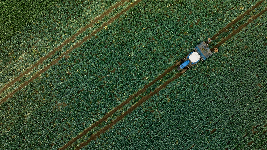 Çiftçilere tarımsal destekleme ödemesi bugün yapılacak