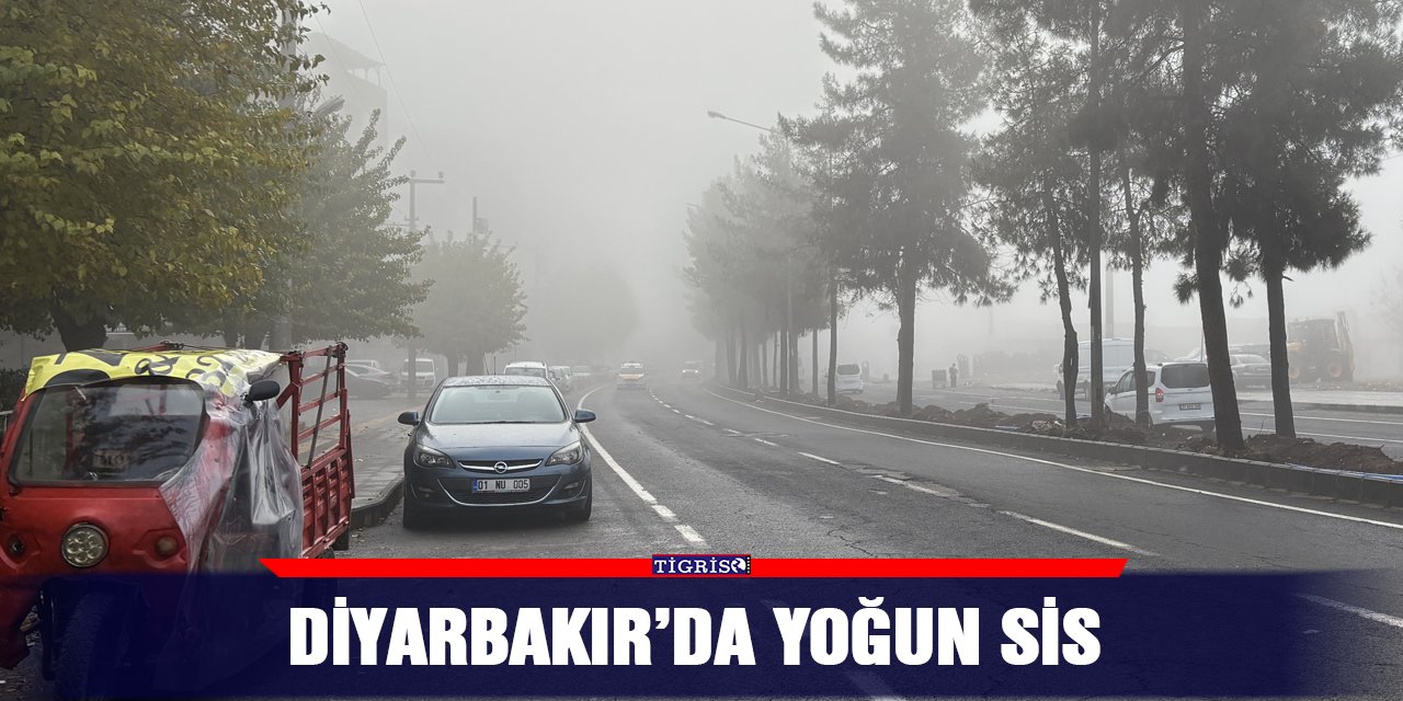 Diyarbakır’da yoğun sis