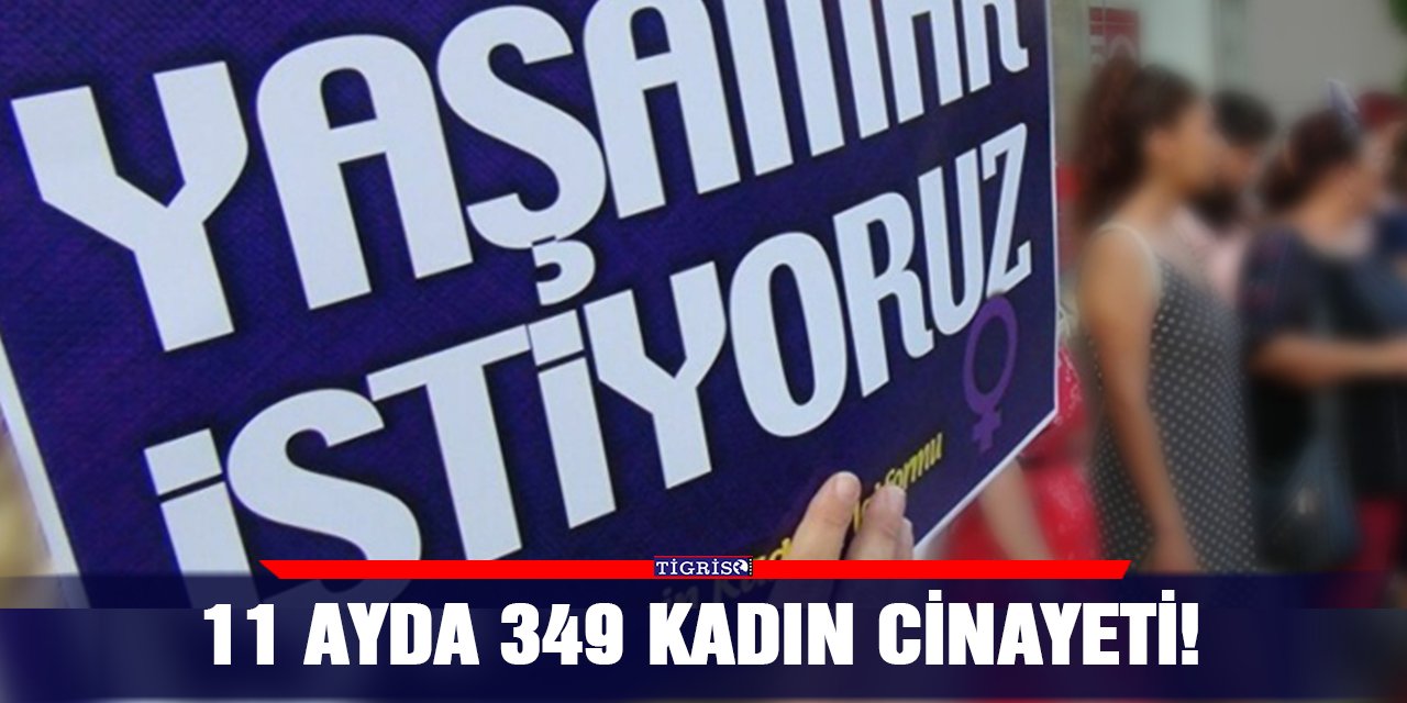 11 ayda 349 kadın cinayeti!