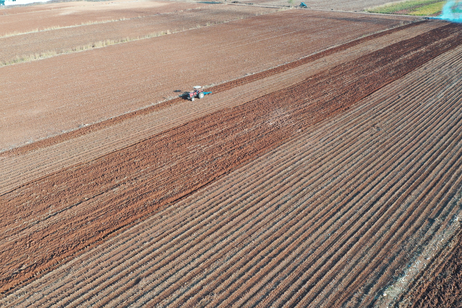 Çiftçilere kuraklığa dayanıklı tohum önerisi