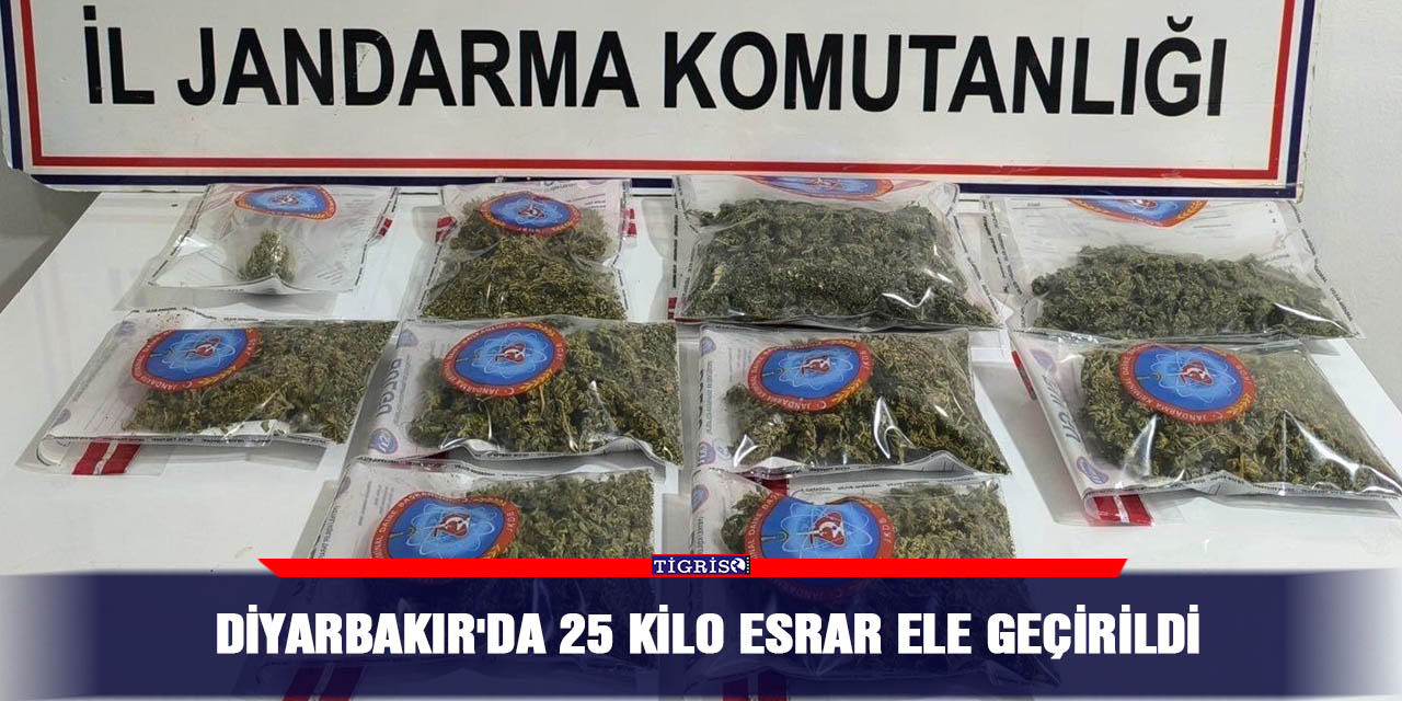 Diyarbakır'da 25 kilo esrar ele geçirildi
