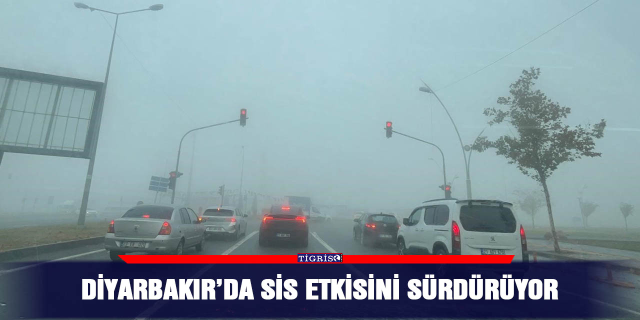 Diyarbakır’da sis etkisini sürdürüyor