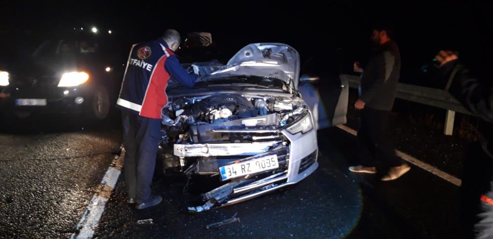 Otomobilin çarptığı at telef oldu