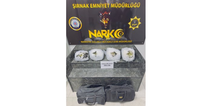 Şırnak’ta 6 kilo 200 gram skunk ele geçirildi