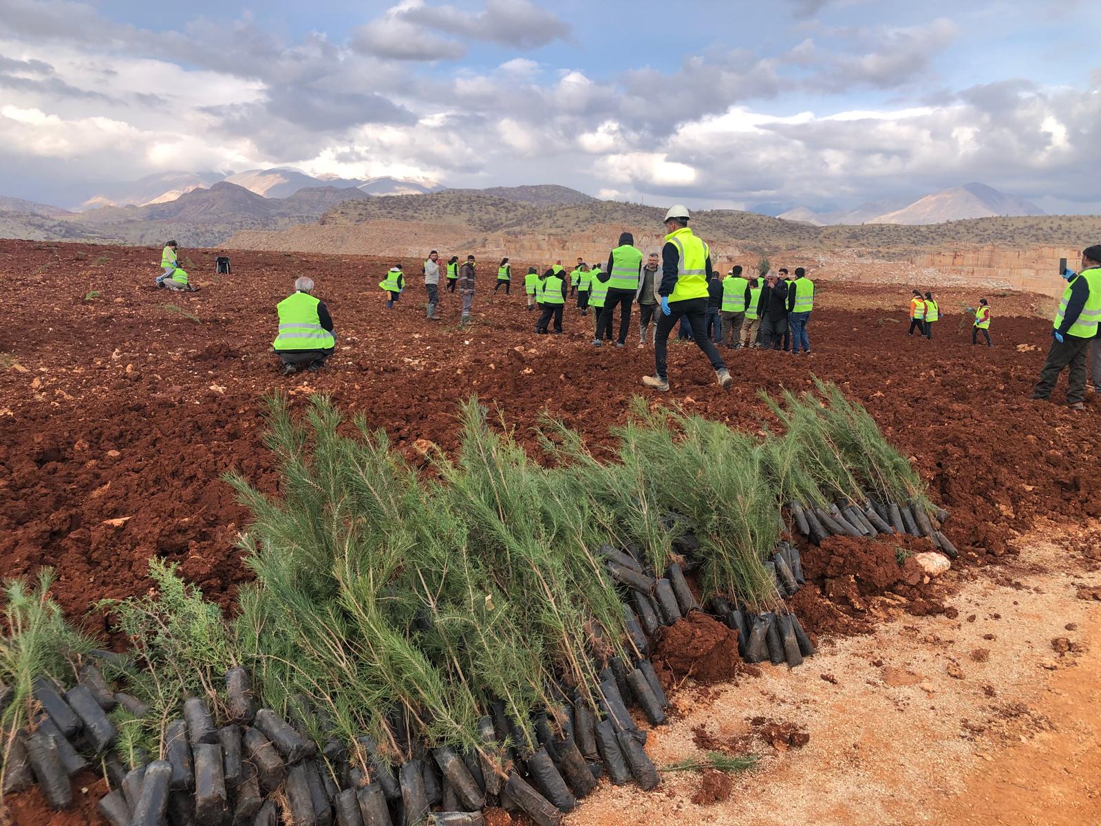 70 dönümlük arazi 2 bin ağaç ile doğaya kazandırıldı