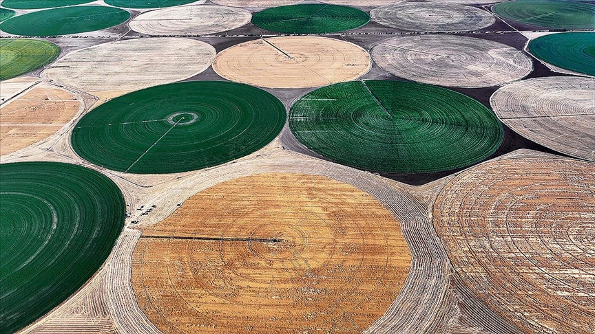 Bazı tarım ürünlerinin depolama süresi 24 aya yükseltildi
